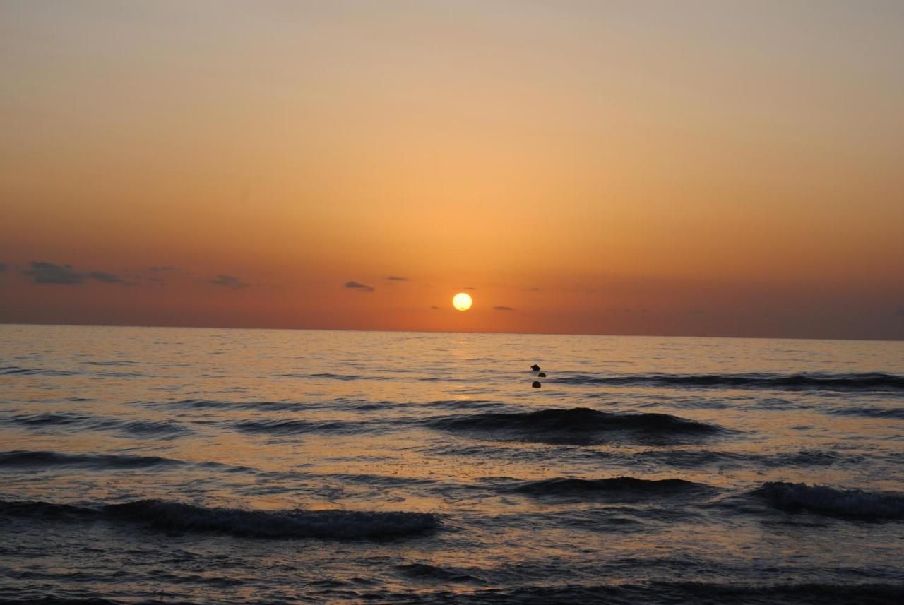 Gandia Playa-Apartamento Gandiazar 2 - Vt- 49300-V Playa de Gandia ภายนอก รูปภาพ